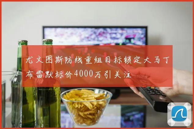 尤文图斯防线重组目标锁定大马丁布雷默标价4000万引关注